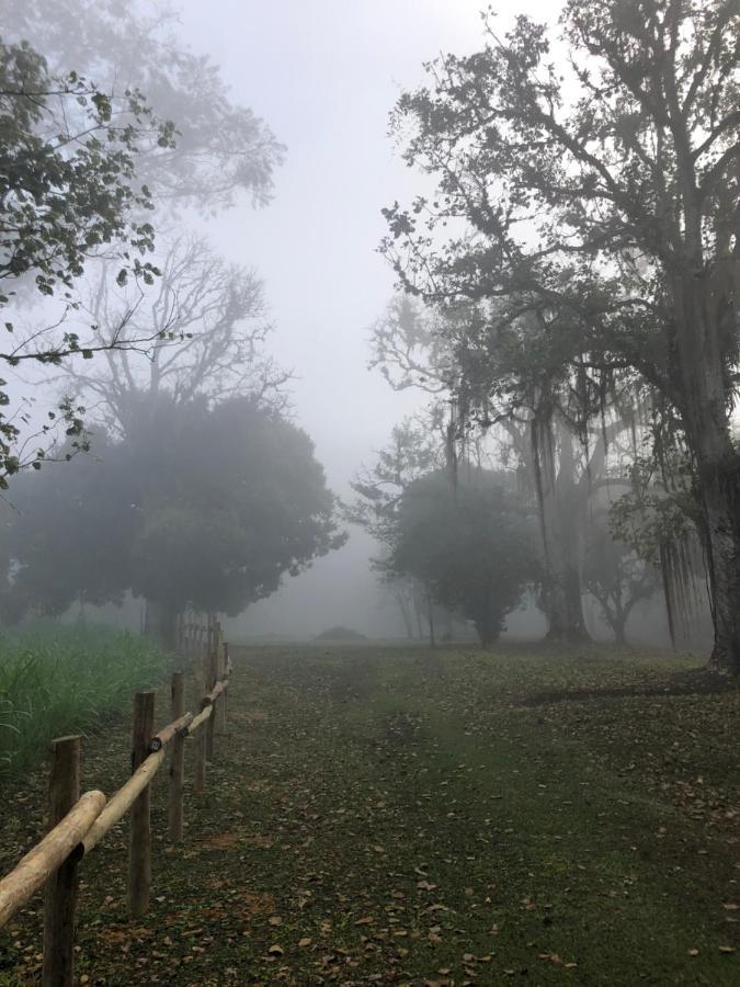 Conservatória Vivenda Dos Guaranys - Um Projeto Ecologico - Loftヴィラ エクステリア 写真